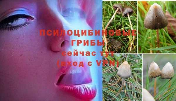 гашишное масло Армянск