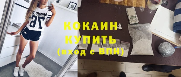 дмт Аркадак