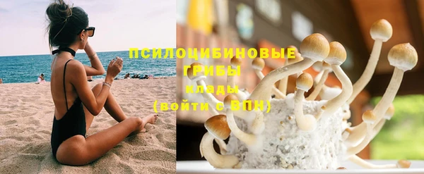 дмт Аркадак