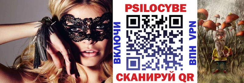 где найти   гидра   Псилоцибиновые грибы Cubensis  Дмитриев 
