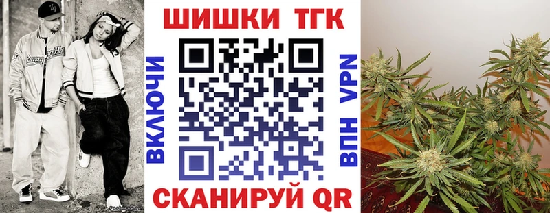 наркота  Дмитриев  Бошки марихуана сатива 